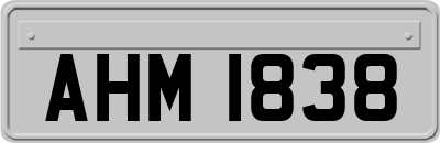 AHM1838