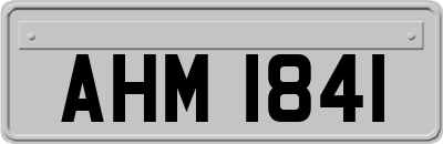 AHM1841