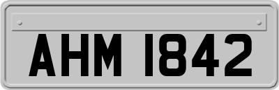 AHM1842