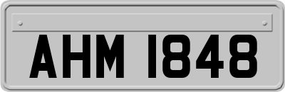 AHM1848