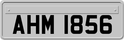 AHM1856