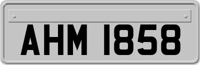 AHM1858