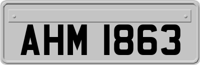 AHM1863