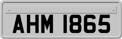 AHM1865