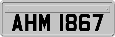 AHM1867