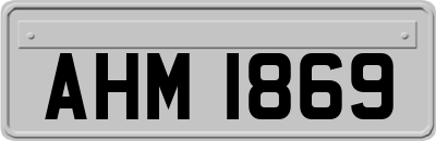 AHM1869