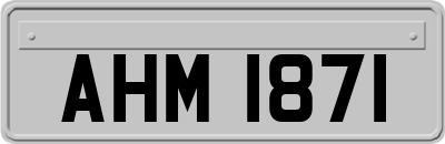AHM1871