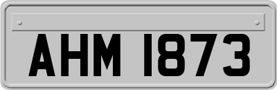 AHM1873