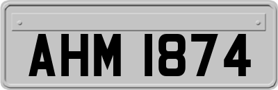 AHM1874
