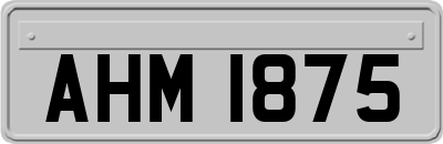 AHM1875