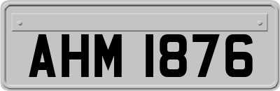 AHM1876