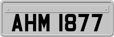 AHM1877