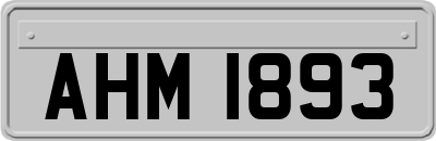 AHM1893