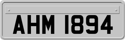 AHM1894