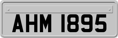 AHM1895