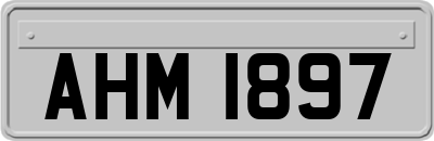 AHM1897