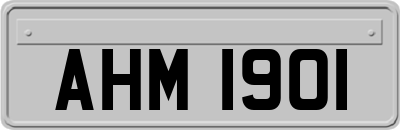 AHM1901