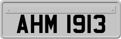 AHM1913