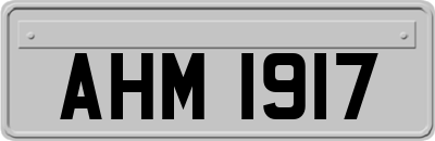 AHM1917
