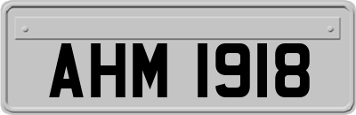 AHM1918