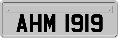 AHM1919
