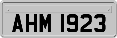 AHM1923
