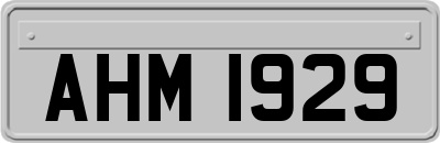 AHM1929
