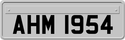 AHM1954