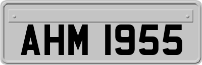 AHM1955