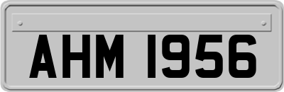 AHM1956
