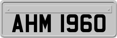 AHM1960