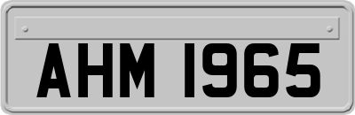 AHM1965