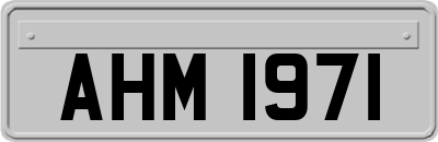 AHM1971