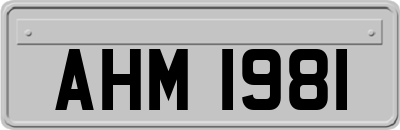 AHM1981