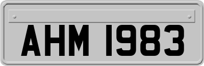 AHM1983