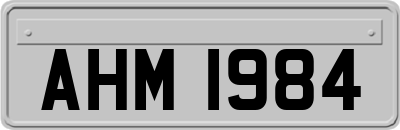 AHM1984