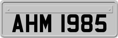 AHM1985