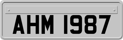 AHM1987