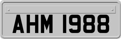 AHM1988