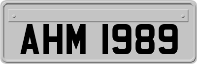 AHM1989