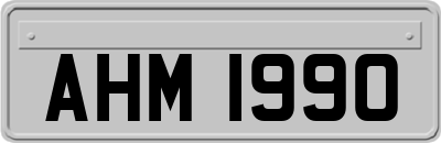 AHM1990