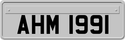 AHM1991