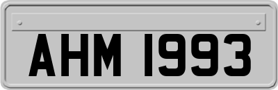 AHM1993