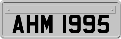 AHM1995