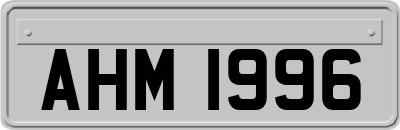AHM1996