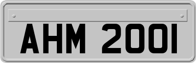 AHM2001