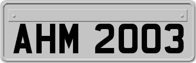 AHM2003