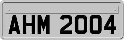 AHM2004