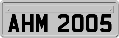 AHM2005