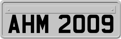 AHM2009